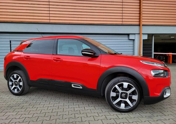 Citroen C4 Cactus cena 41900 przebieg: 200000, rok produkcji 2019 z Gliwice małe 254